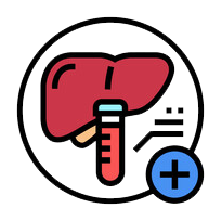 Liver function blood test Icon